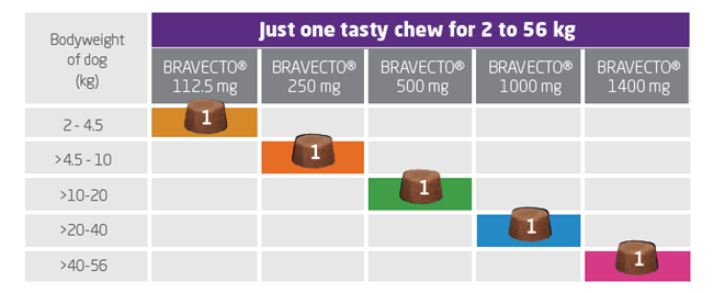 Bravecto Beat Ticks and Fleas Vet Training Presentation